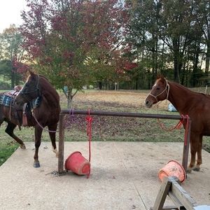 Meet your Posher, Terry